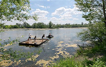 Das Geheimnis der Au