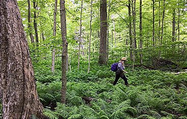 Nationalparks der Zukunft - Toronto