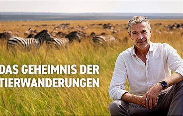 Das Geheimnis der Tierwanderungen mit Dirk Steffens