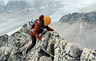 Ganz nach oben