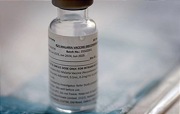 Malaria - Hoffnung in Sicht