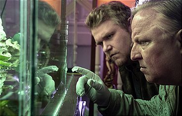 Tatort: Ein Freund, ein guter Freund