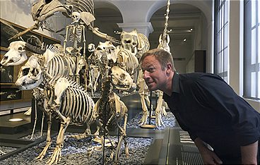Tobis Städtetrip