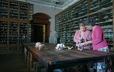 Das Geheimnis der Urzeitmütter