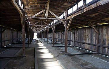 Josef Mengele - Der Todesarzt von Auschwitz