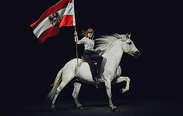 Noch lange keine Lipizzaner