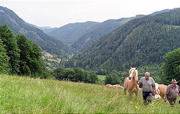 Heimat Österreich