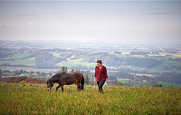 Land der Berge