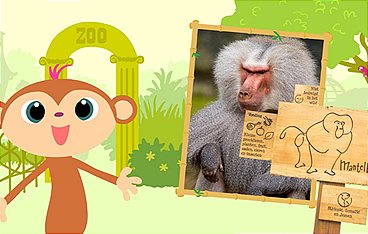 StoryZoo Abenteuer