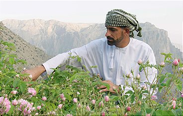 Abenteuer Oman