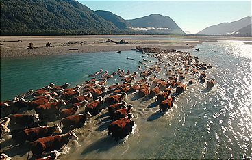 Mit dem Zug durch Neuseeland