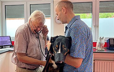 Die Tier-Docs! Pfotenhelden mit Herz