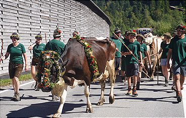 Heimatleuchten