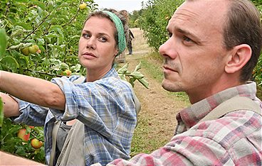 Neuer Wind im Alten Land