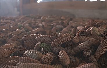 Das war dann mal weg